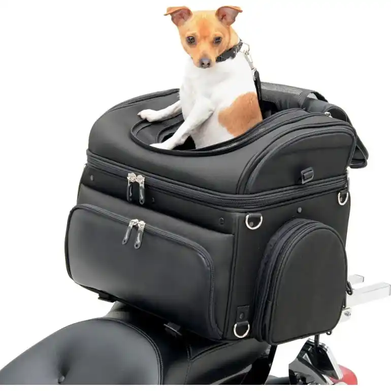 Halpa Hinta Saddlemen PC3200C Voyager -moottoripyörän lemmikkikassi