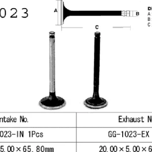 Poisto Vesrah GG-1023-EX pakoventtiili