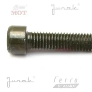 Ajankohtainen M8x30-ruuvi Junak NK-650 -painon kiinnitykseen
