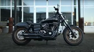 Alennettu Miller Exhaust Poli Embout Standard Vaimentin